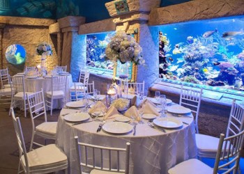 Long Island Aquarium offers weddings in a watery wonderland