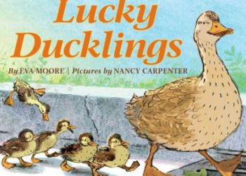 Lucky Ducklings cover