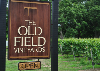 Old Field Vineyards