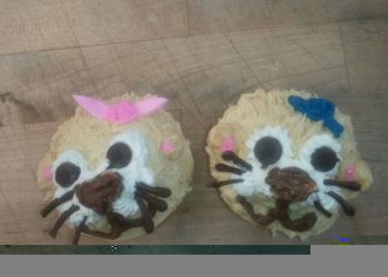 Otter cupcakes