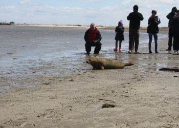 Riverhead Foundation Seal Release