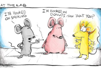 Rats cartoon by Mickey Paraskevas