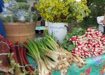 Sag Harbor Farmers Market offerings