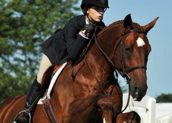 Scarlett Lee Aylsworth on Alamo at the 2014 Hampton Classic Horse Show