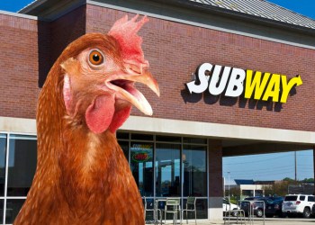 Subway chicken