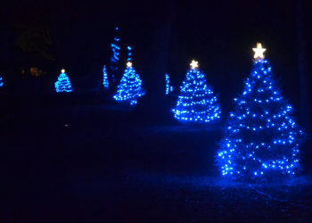 Blue lights on Three Mile Harbor, photo credit: Gabby Stephenson