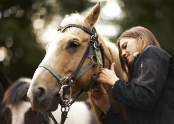 Nominate your favorite equestrian businesses on the East End.