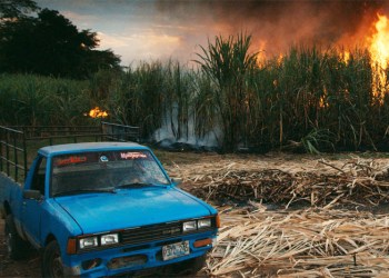 Burning Sugar Cane Field in El Salvador. Film still from 