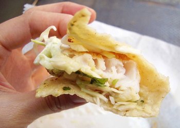 Fish Taco bite