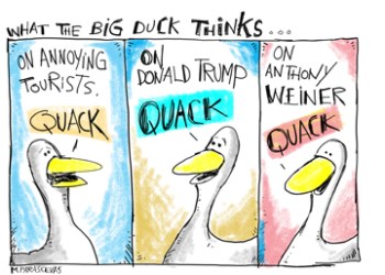 duck at 80