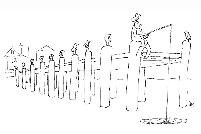 line drawing of man fishing off a pier with seagulls on every post, and a gull on his head