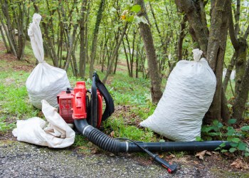 Leaf blower and bags of leaves