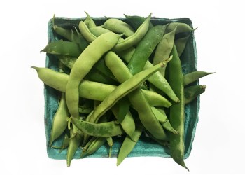 Peas from Stacy Dermont's garden