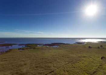 Building on tidal wetlands has many hurdles