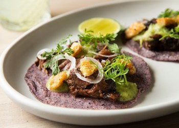 Oxomoco's Pork Cheek Carnitas Taco, Photo: Courtesy Oxomoco