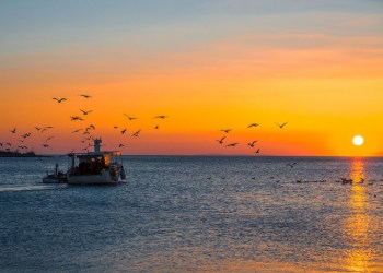 Fishing boat at sunset