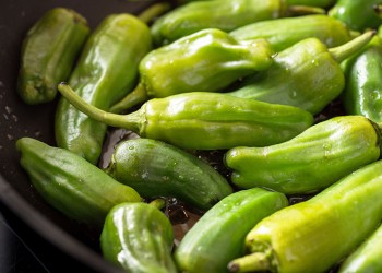 Green padron peppers in the frying pan. pimientos de padron.