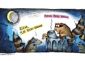 Raccoons with Alexa in the trash cartoon by Mickey Paraskevas