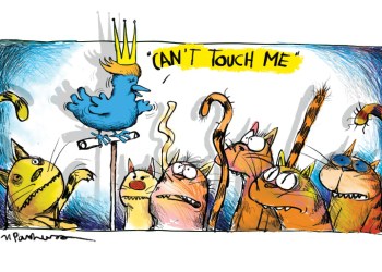 Cartoon by Mickey Paraskevas with Donald Trump as a Twitter bird with the famous hair, and a bunch of cats below him, as he says, 