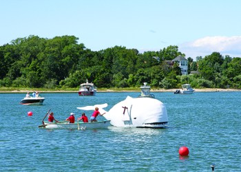 Harpooning the whale at the 2017 Harborfest whaleboat races, Photo: Barbara Lassen