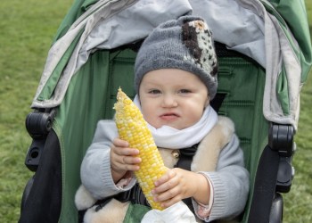 Louisa age 1 enjoys local sweet corn at the festival