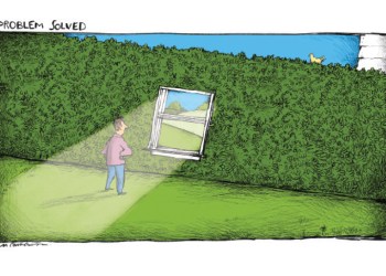 Hedge window cartoon by Mickey Paraskevas