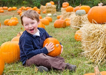 10997770 - happy young boy picking a pumpkin for halloween