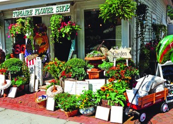 Topiaire Flower Shop, Photo: Dietmar Riccomini