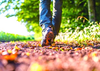 Closeup of male legs hiking in nature.