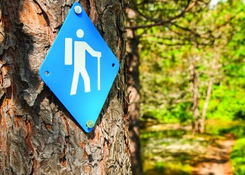 Hiking Trail Marker at Lake Superior Provincial Park