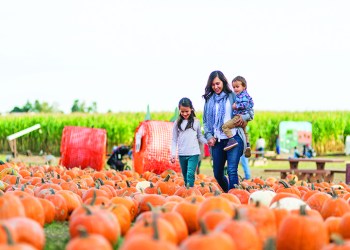 Beautiful ethnic mom and her daughters at the pumpkin farm!