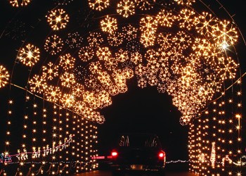 Riverhead Holiday Light Show, Photo: BOLD Broadcasting, LLC