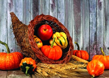 harvest cornucopia with pumpkins, apples and gourds on rustic wood background