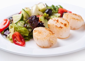 salad of scallops on a white plate close up