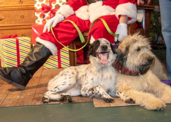 Boo and Buffy pose for a photo with Santa