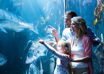 Happy family pointing a fish in the tank at the aquarium