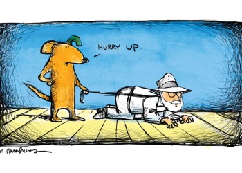 Dog walking Dan cartoon by Mickey Paraskevas