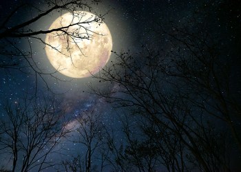 beautiful milky way star in night skies, full moon and old tree - retro fantasy style artwork with vintage color tone.