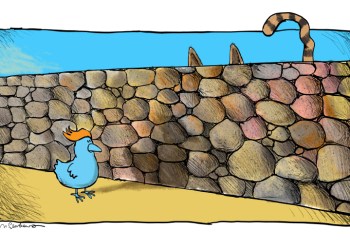 Twitter Trump wall cartoon by Mickey Paraskevas