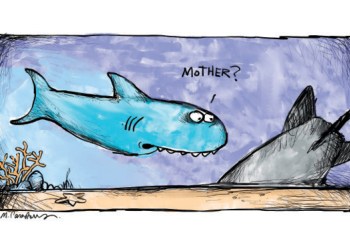 Shark and bomb cartoon by Mickey Paraskevas