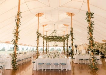 Gorgeous Vine Chandelier