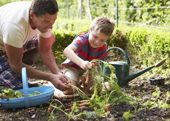 gardening