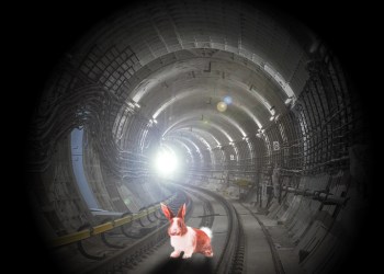 Pink Somali bunny in Hamptons Subway tunnel