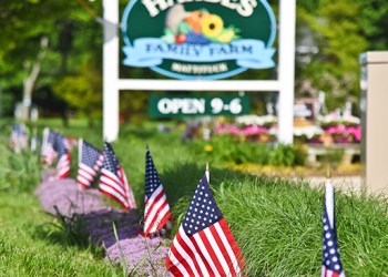 Memorial Day Weekend at Harbes, Photo: Courtesy Harbes Family Farm