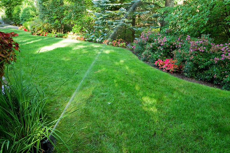 RB Irrigation sprinkler lawn and flowers