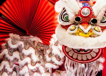 Traditional colorful Chinese new year lion with red fan as background