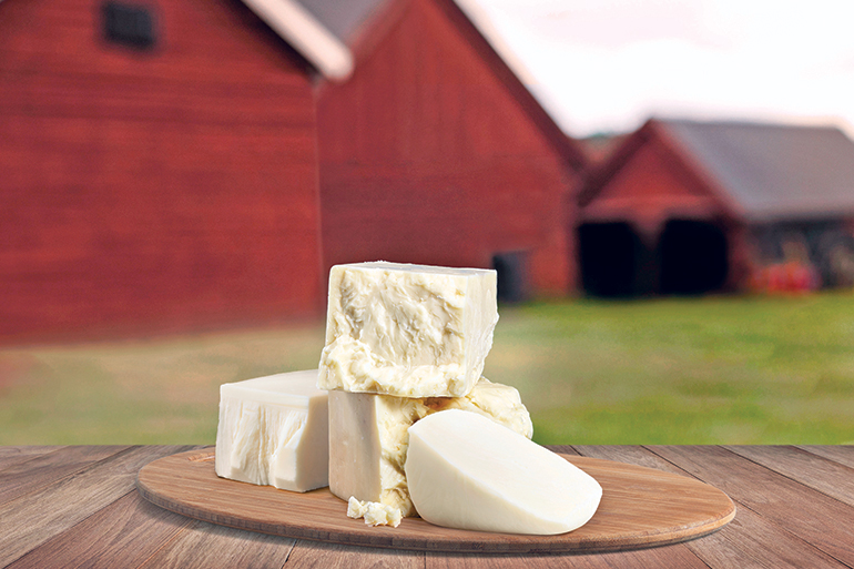 Craigs Creamery cheese, Photo: Emilie Mulligan