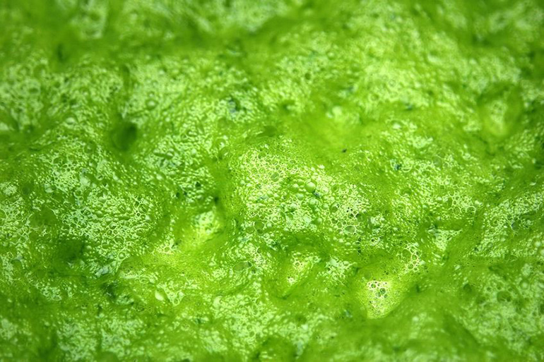 Toxic green goo found during construction of the Hamptons Subway East Hampton Airport stop