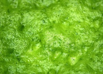 Toxic green goo found during construction of the Hamptons Subway East Hampton Airport stop