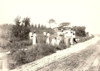 3 Janet Hoyt and the SH Summer School of Art c 1905